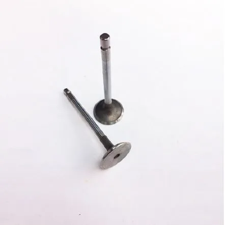 دراجة نارية الملحقات صمام مدخل العادم مجموعة ل Cg200