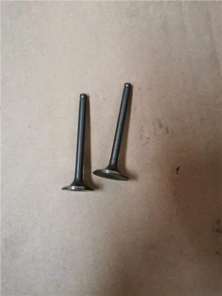 110cc شبل محرك دراجة نارية صمام