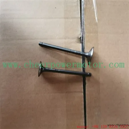 صمام محرك مدخل دراجة ثلاثية العجلات باجاج RE205